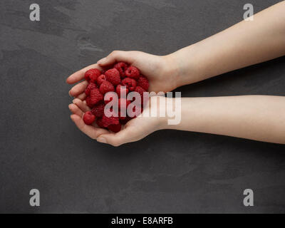 Hände halten frische Himbeeren Stockfoto