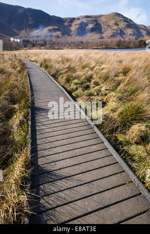 Grange Gehweg an der Spitze des Borrowdale Tal, englischen Lake District. Stockfoto