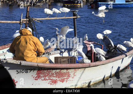 Fischer im kleinen Hafen von Pointe Courte in Sete, Languedoc Roussillon, Frankreich Stockfoto