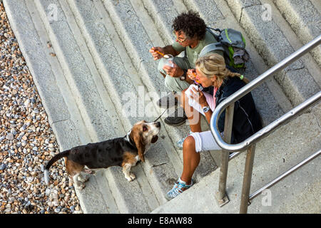 Paar, Essen ein Eis auf Treppe während traurig aussehende Basset Hound Hund betteln Stockfoto