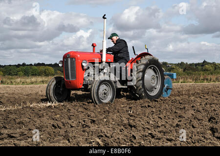 Oldtimer Massey Ferguson 35 X Cheshire Pflügen Spieltagen Wettbewerb Stockfoto