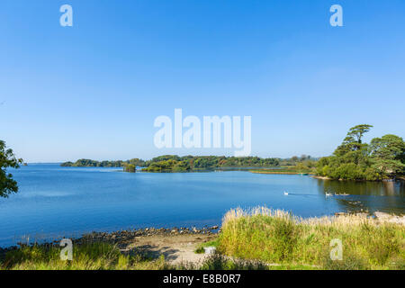 Am Ufer des Lough Leane in der Nähe von Ross Castle, Killarney National Park, County Kerry, Irland Stockfoto