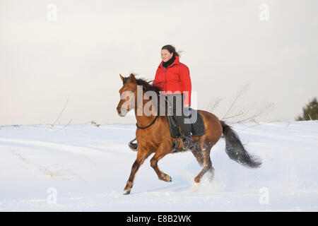 Junge Reiter auf Rückseite ihrer Paso Fino mit Hals Ring nur Pferd im Galopp im Schnee Stockfoto