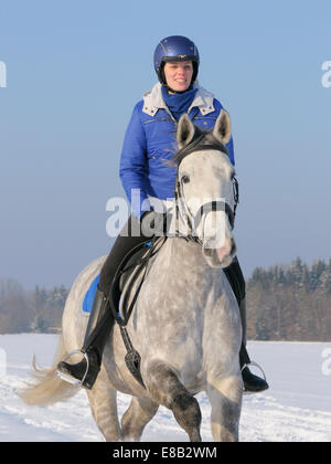 Reiten Sie im Winter auf Rückseite des französischen Pferd (Selle Français) Stockfoto