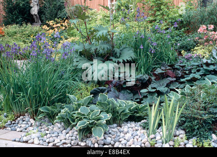 Blaue Iris und Hosta gemulcht mit Kieselsteinen in gut sortierten Garten Grenze im Sommer Stockfoto