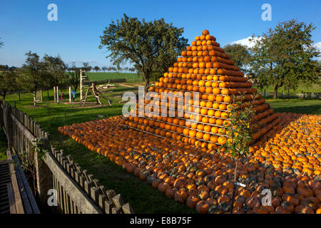 Kürbisse Farm, Kürbisse in Form einer Pyramide gestapelt Stockfoto