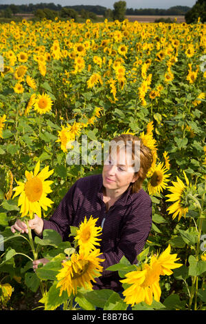 Maria Davies geht durch ein Feld von Sonnenblumen im Dorf Shenton, Leicestershire. Stockfoto