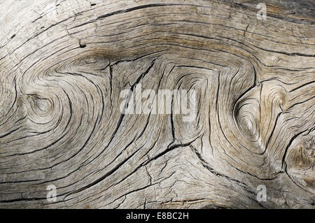 verwitterte graue Holz mit Hintergrundtextur wirbelte Korn Stockfoto