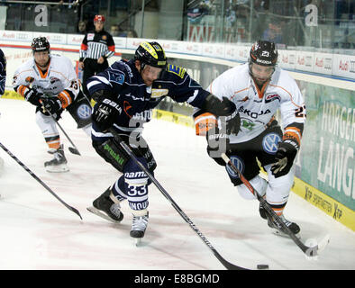 3. Oktober 2014 - Ingolstadt, Bayern, Deutschland - von vorne links 33Bjoern BARTA/Ingolstadt, 23Gerrit FAUSER/Wolfsburg. Deutsche Eishockeyliga Spieltag 7,. ERC Ingolstadt Vs EHC Wolfsburg. Ingolstadt, Saturn Arena, 3. Oktober 2014, ...die Landesmeister Ingolstadt am Nationalfeiertag einer der Favoriten für diese Saison erhält (Credit-Bild: © Wolfgang Fehrmann/Wolfgang Fehrmann/ZUMA Draht) Stockfoto