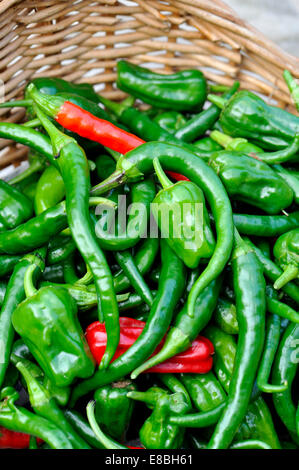 Frisch gepflückt UK Garten angebaut heißen Cayenne Chilis im Weidenkorb Stockfoto