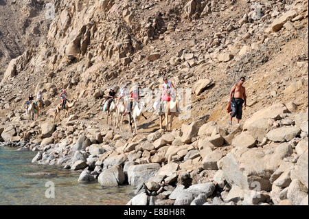 Sinai-Gebirge treffen der Golf von Aqaba Touristen auf Beduinen Kamel Trek nördlich von Dahab, Ras Malah im südlichen Sinai-Halbinsel Stockfoto