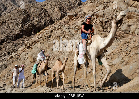 Sinai-Gebirge entlang der Golf von Aqaba Frau Tourist auf Beduinen Kamel Trekking nördlich von Dahab, Ras Malah im südlichen Sinai Peni Stockfoto