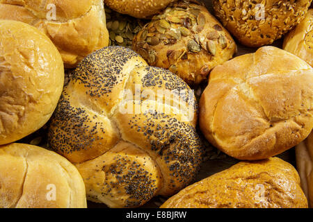 Verschiedene Arten von frisch gebackenem Brot Stockfoto