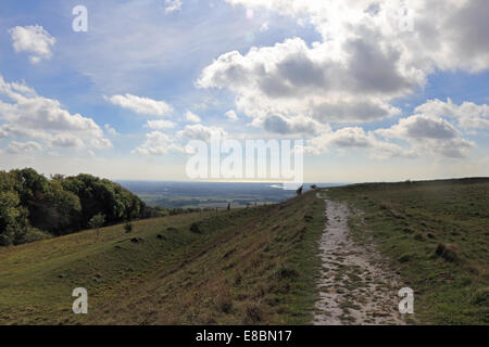 Die Trundle oder St Roche Hill Eisenzeit Burgberg in der Nähe von Goodwood, West Sussex, England, UK. Stockfoto