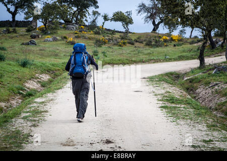 Wandern auf dem Camino nach Santiago de Compostela, Spanien auf der Via la Plata oder der Silbernen Route Stockfoto