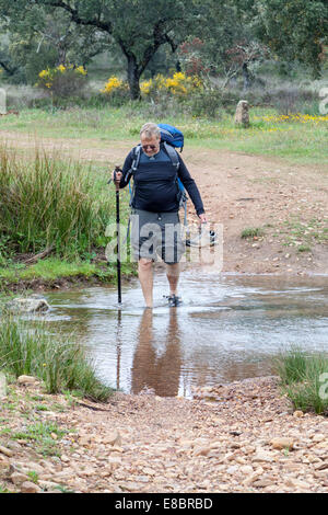 Männlicher Pilger, der durch eine große Pfütze auf der Via la Plata geht. Wandern auf dem Camino nach Santiago de Compostela, Spanien Stockfoto