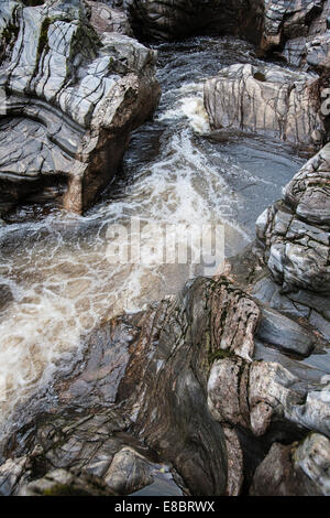 Randolphs Sprung an die Findhorn-Schlucht in der Nähe von Forres in Schottland. Stockfoto