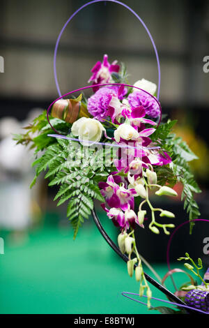 Anzeige der Schraubenset Schnittblumen frisch Stockfoto