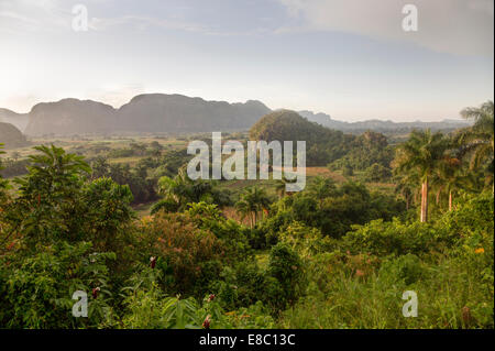 Mogotes in Nachtstück von Vinales, Provinz Pinar del Rio, Kuba Stockfoto