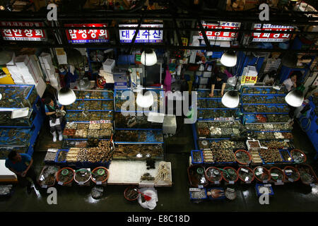 In einer riesigen urbanen Umgebung in Seoul, Südkorea auf dem sehr geschäftigen Noryangiin Fish Market haben die Händler ihre Displays früh an einem Wochentagmorgen eingerichtet Stockfoto