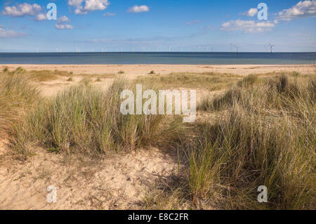 Windpark Scroby Sands am Horizont der North Norfolk Ostküste, UK. Sanddünen mit Dünengebieten Grass im Vordergrund Stockfoto