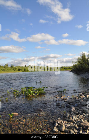 Die polaren Ural. Kiesel-Ufer. Nördlichen Flusslandschaft, sauberem Wasser und Umwelt Gnade. Stockfoto