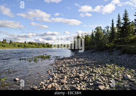 Die polaren Ural. Kiesel-Ufer. Nördlichen Flusslandschaft, sauberem Wasser und Umwelt Gnade. Stockfoto