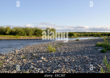 Die polaren Ural. Kiesel-Ufer. Nördlichen Flusslandschaft, sauberem Wasser und Umwelt Gnade. Stockfoto