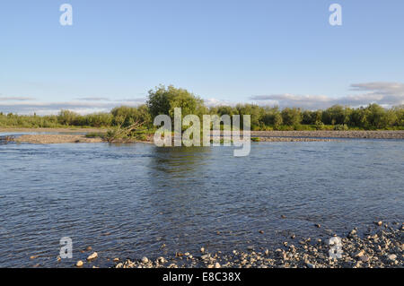 Die polaren Ural. Kiesel-Ufer. Nördlichen Flusslandschaft, sauberem Wasser und Umwelt Gnade. Stockfoto