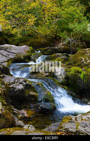 Aira Beck in Cumbria an einem Herbsttag Stockfoto