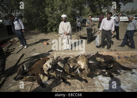 Teheran, Iran. 5. Oktober 2014. Ein iranischer Kleriker steht neben der Schlachtkörper von Schafen während der muslimischen Feiertag von Eid al-Adha in südlichen Teheran. Iranische Moslems feiern Eid Al-Adha, einen muslimischen Feiertag in dem Gläubiger ein Schaf zur Feier der Heiligen Durchgang ging der Prophet Abraham, nach der Ordnung Gottes, seinen Sohn Ismael, aber schließlich Gott töten töten bat ihn um ein Schaf zu töten. Bildnachweis: Morteza Nikoubazl/ZUMA Draht/Alamy Live-Nachrichten Stockfoto