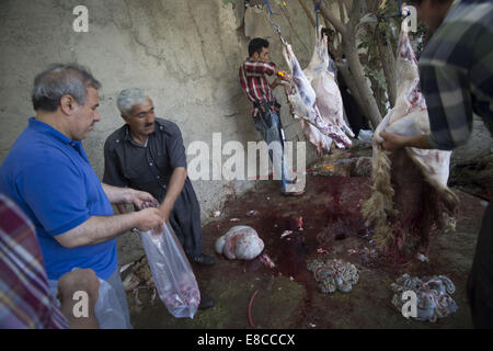 Teheran, Iran. 5. Oktober 2014. Ein iranischer Mann erhalten geschlachtete Schafen während der muslimischen Feiertag von Eid al-Adha in südlichen Teheran. Iranische Moslems feiern Eid Al-Adha, einen muslimischen Feiertag in dem Gläubiger ein Schaf zur Feier der Heiligen Durchgang ging der Prophet Abraham, nach der Ordnung Gottes, seinen Sohn Ismael, aber schließlich Gott töten töten bat ihn um ein Schaf zu töten. Bildnachweis: Morteza Nikoubazl/ZUMA Draht/Alamy Live-Nachrichten Stockfoto