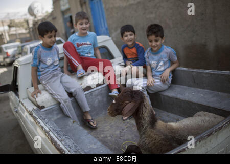 Teheran, Iran. 5. Oktober 2014. Iranische Jungen schauen Sie sich ein Schaf von einem Lastwagen während der muslimischen Feiertag von Eid al-Adha in südlichen Teheran tragen. Iranische Moslems feiern Eid Al-Adha, einen muslimischen Feiertag in dem Gläubiger ein Schaf zur Feier der Heiligen Durchgang ging der Prophet Abraham, nach der Ordnung Gottes, seinen Sohn Ismael, aber schließlich Gott töten töten bat ihn um ein Schaf zu töten. Bildnachweis: Morteza Nikoubazl/ZUMA Draht/Alamy Live-Nachrichten Stockfoto