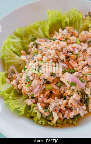 Hackfleisch / Fisch und Gemüse Mischung, würziger Salat Stockfoto