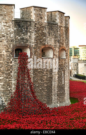 Tower of London Mohn im Burggraben HRP-Tower London-WW1-LogoFrom 5. August 2014, 11. November 2015 Stockfoto