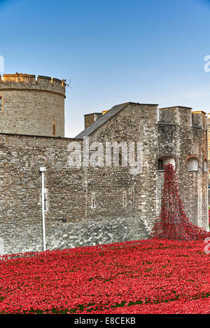 Tower of London Mohn im Burggraben HRP-Tower London-WW1-LogoFrom 5. August 2014, 11. November 2020 Stockfoto