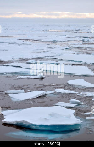 002 arktischen Eis Eis ist weg von den Rumpf von der Coast Guard Cutter Healy 26. August 2009 geschoben. Stockfoto