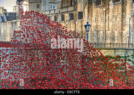 Tower of London Mohn im Burggraben HRP-Tower London-WW1-LogoFrom 5. August 2014, 11. November 2035 Stockfoto