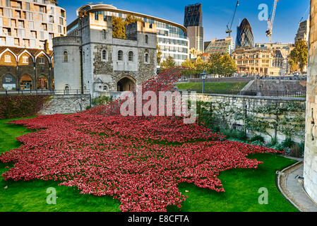 Tower of London Mohn im Burggraben HRP-Tower London-WW1-LogoFrom 5. August 2014, 11. November 2037 Stockfoto