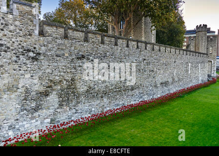 Tower of London Mohn im Burggraben HRP-Tower London-WW1-LogoFrom 5. August 2014, 11. November 2040 Stockfoto