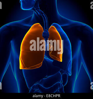 Pneumothorax - kollabierten Lunge Stockfoto