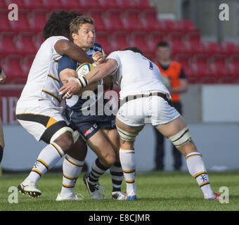 Manchester, größere Manchester, UK. 5. Oktober 2014. 5. September 2014 Wespen Flankers ASHLEY JOHNSON und GUY THOMPSON legte einen großen Hit auf Verkauf Scrum-Hälfte CHRIS CUSITER während die Verkauf-Haie - V-Wespen entsprechen der AJ Bell Stadium: Credit: Steve Flynn/ZUMA Draht/Alamy Live News Stockfoto