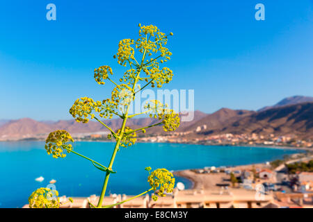 La Azohia Strand Murcia in Spanien Mittelmeer Stockfoto