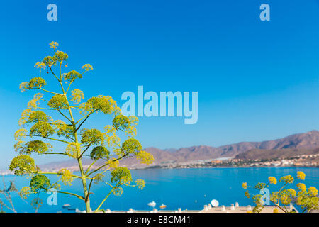 La Azohia Strand Murcia in Spanien Mittelmeer Stockfoto