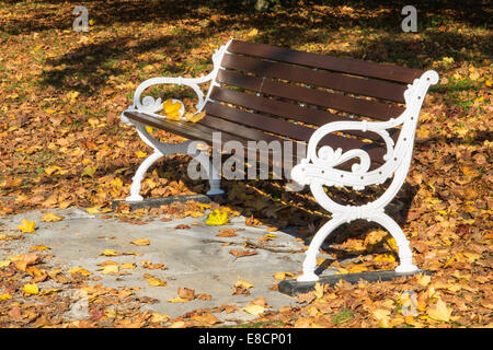 Eine Parkbank unter Herbst Blätter in Alingsås. Stockfoto