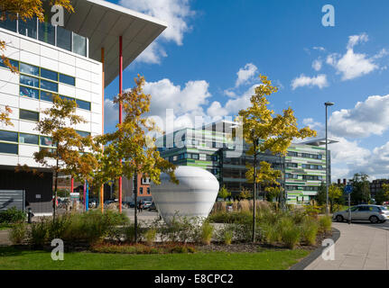 "Anyone Who had A Heart" Skulptur, Central Manchester University Hospitals Komplex aus Oxford Straße, Manchester, England, UK Stockfoto