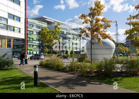 "Anyone Who had A Heart" Skulptur, Central Manchester University Hospitals Komplex aus Oxford Straße, Manchester, England, UK Stockfoto