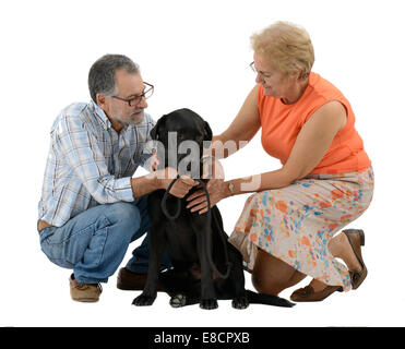 Paar Petting schwarzen Labrador Retriever Hund isoliert auf weißem Hintergrund ausschneiden Stockfoto