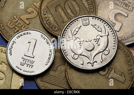 Münzen von Israel. Zwei Füllhorn in der israelischen zwei neue Schekel-Münze und die israelische eine neue Schekel-Münze dargestellt. Stockfoto