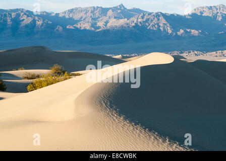 Kurve Dünen bei Stovepipe Wells in Mesquite Tal Stockfoto